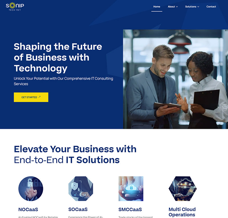 screenshot image of sonip website